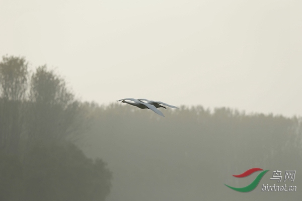 _E8J2227.jpg