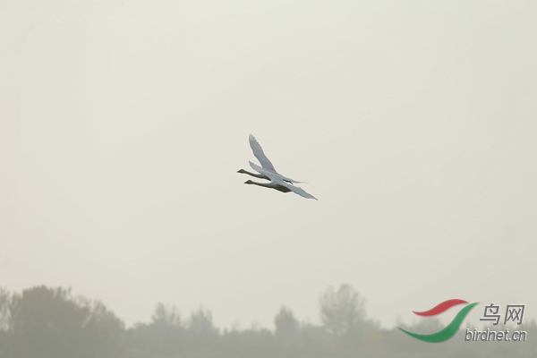 _E8J2223.jpg