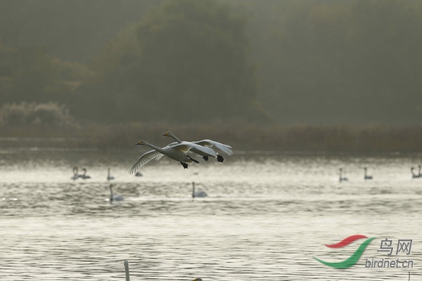 _E8J2242.jpg