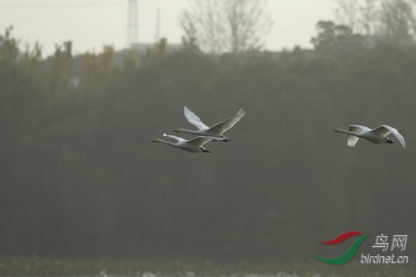 _E8J2152.jpg