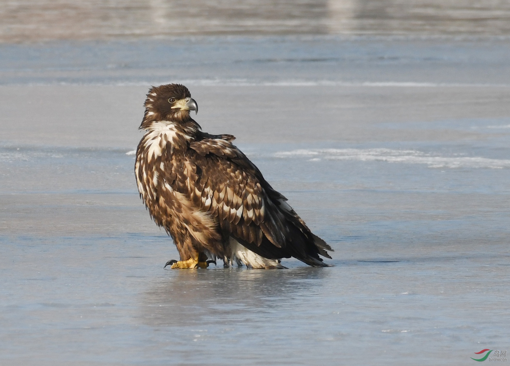 ������Ӱ 590����.jpg