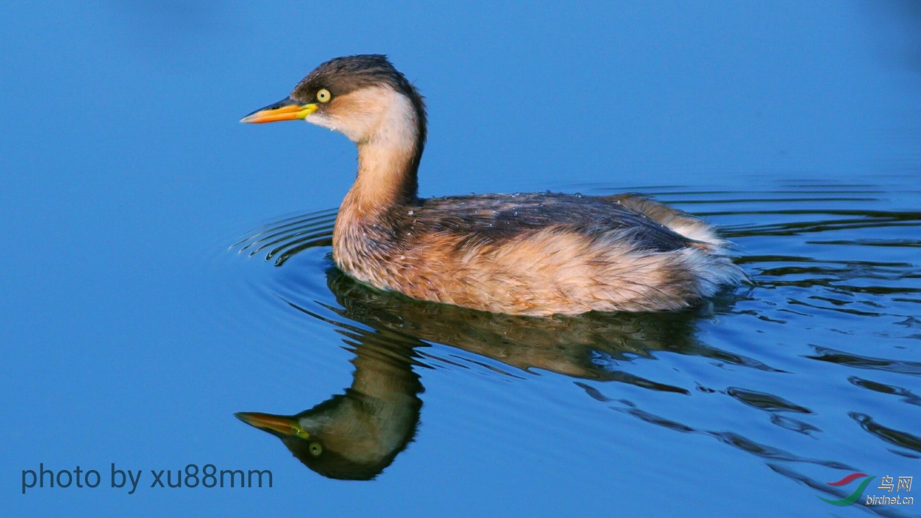 �����10��