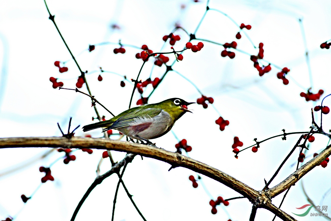 IMG_8392 - ����.jpg