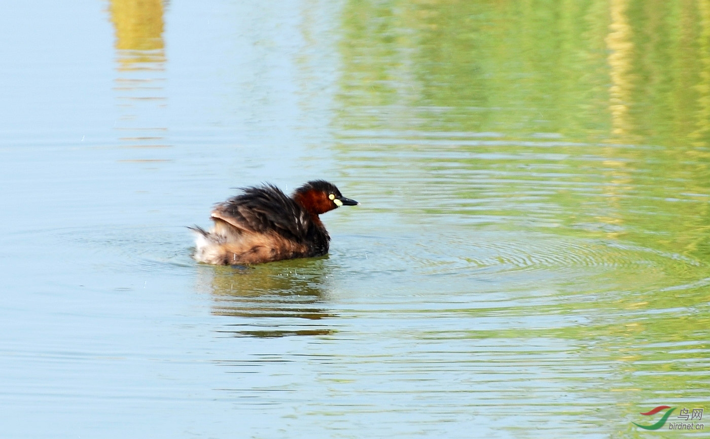 DSC_3974.JPG