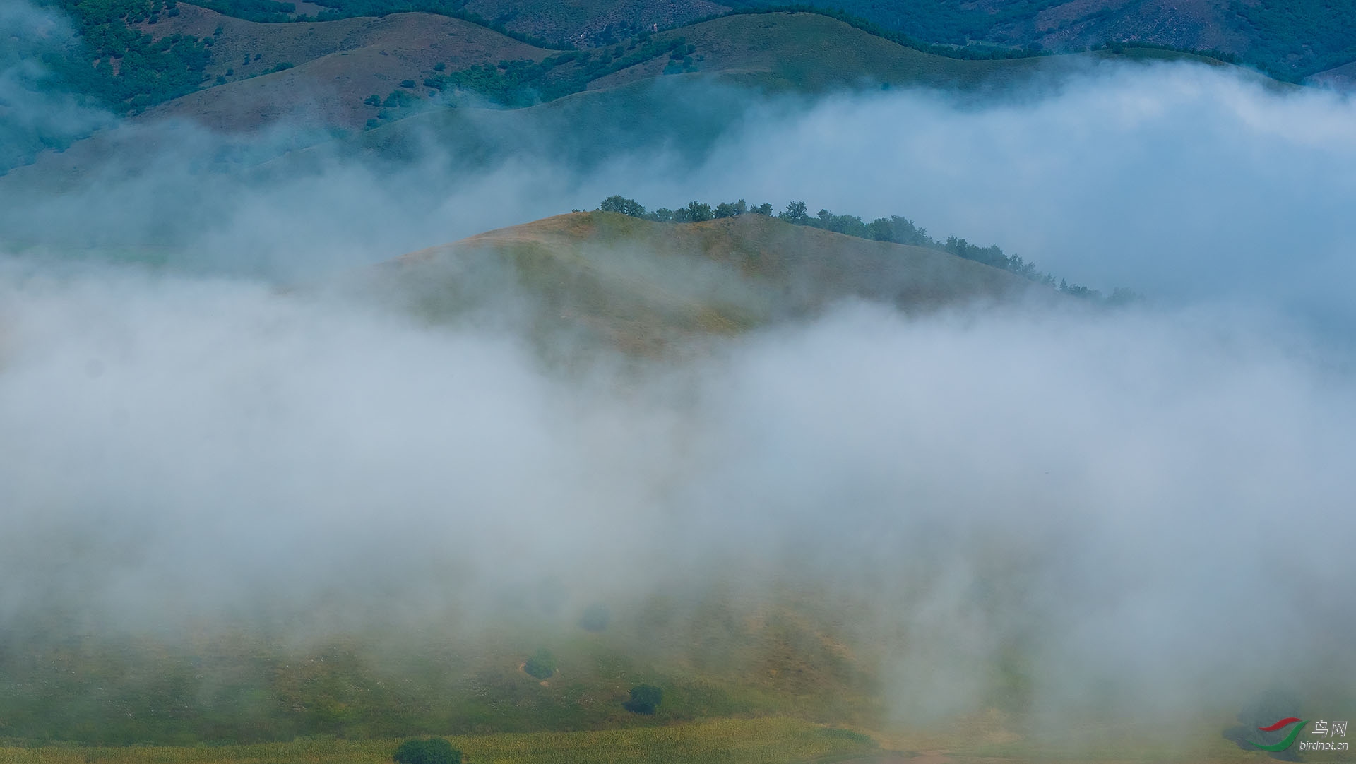 _DSC2405.jpg