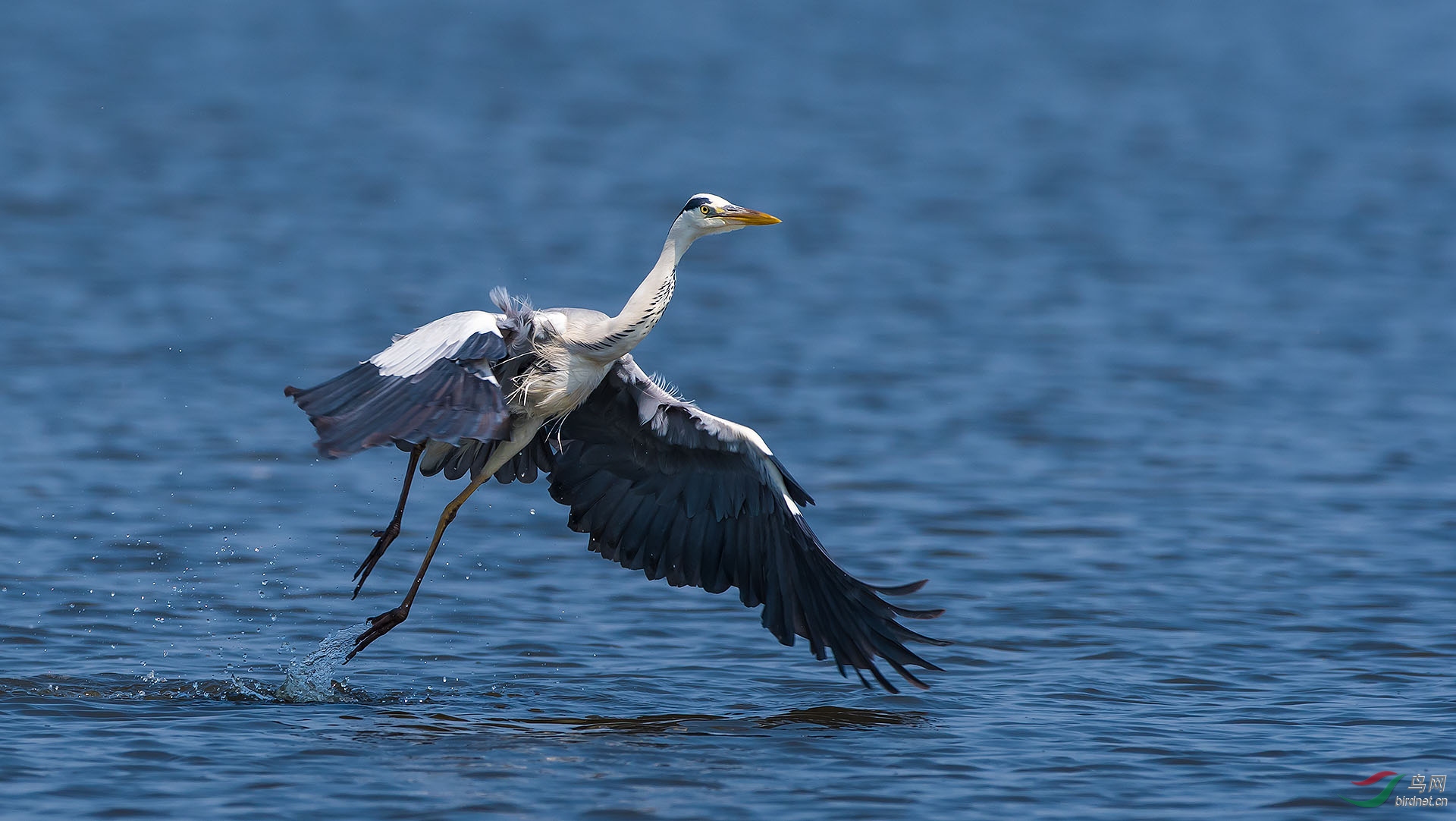 DSC_5612.jpg