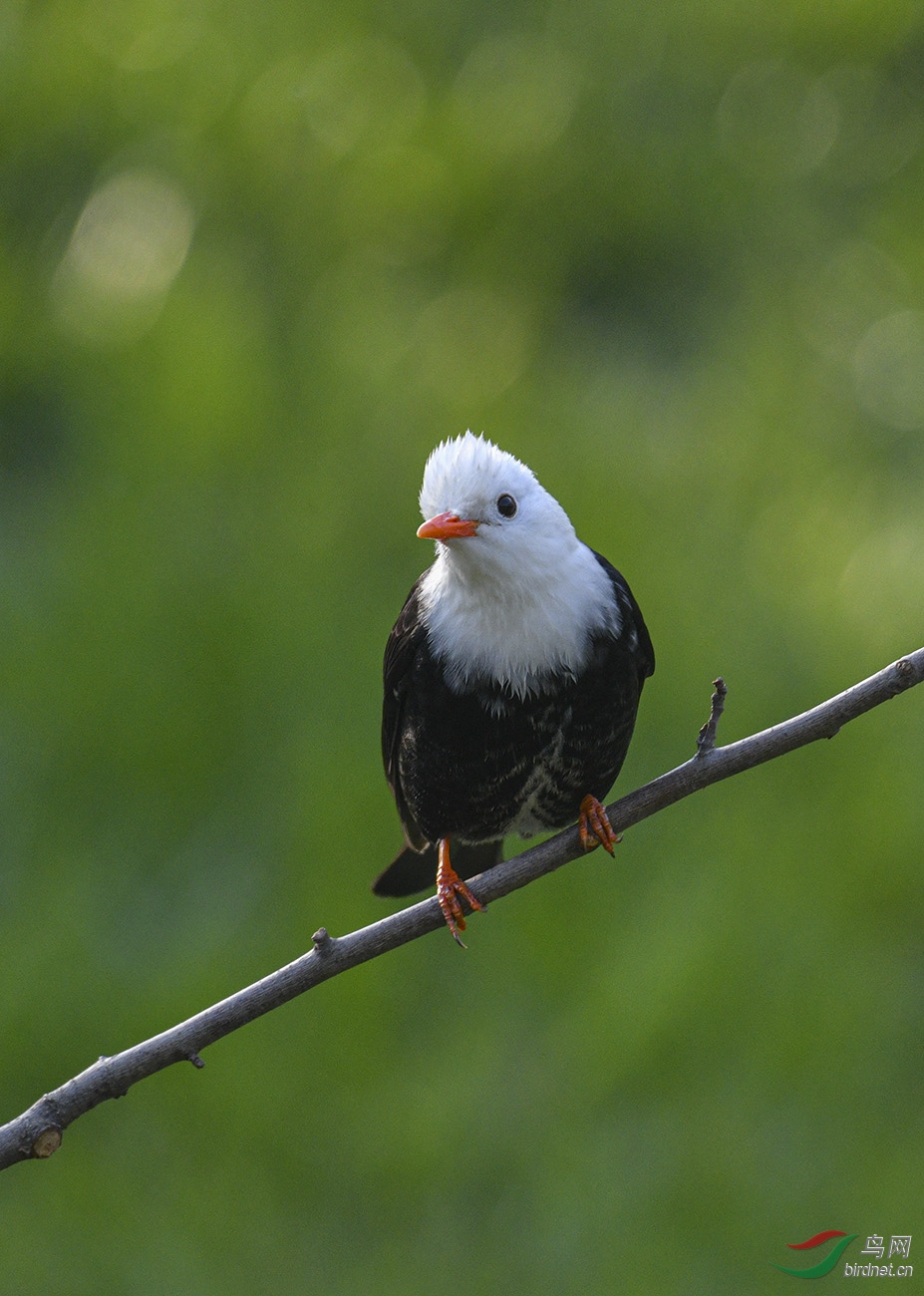DSC_0137.jpg