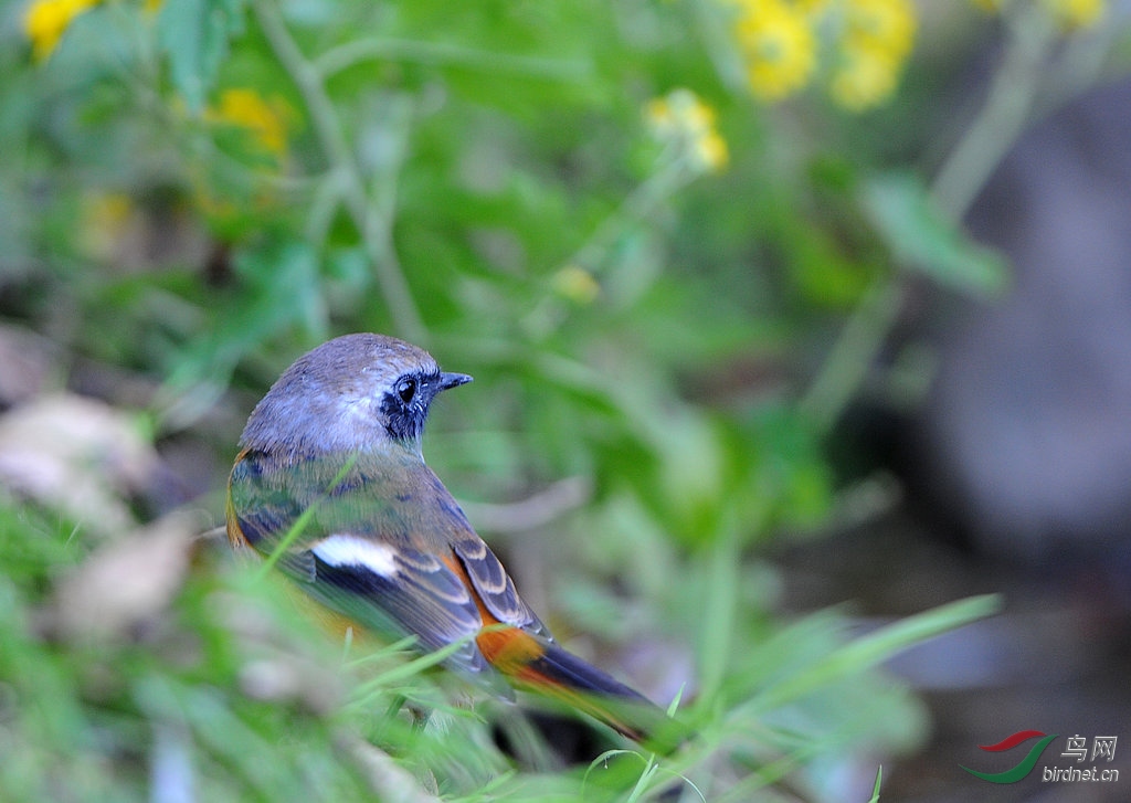 DSC_0372  3.jpg