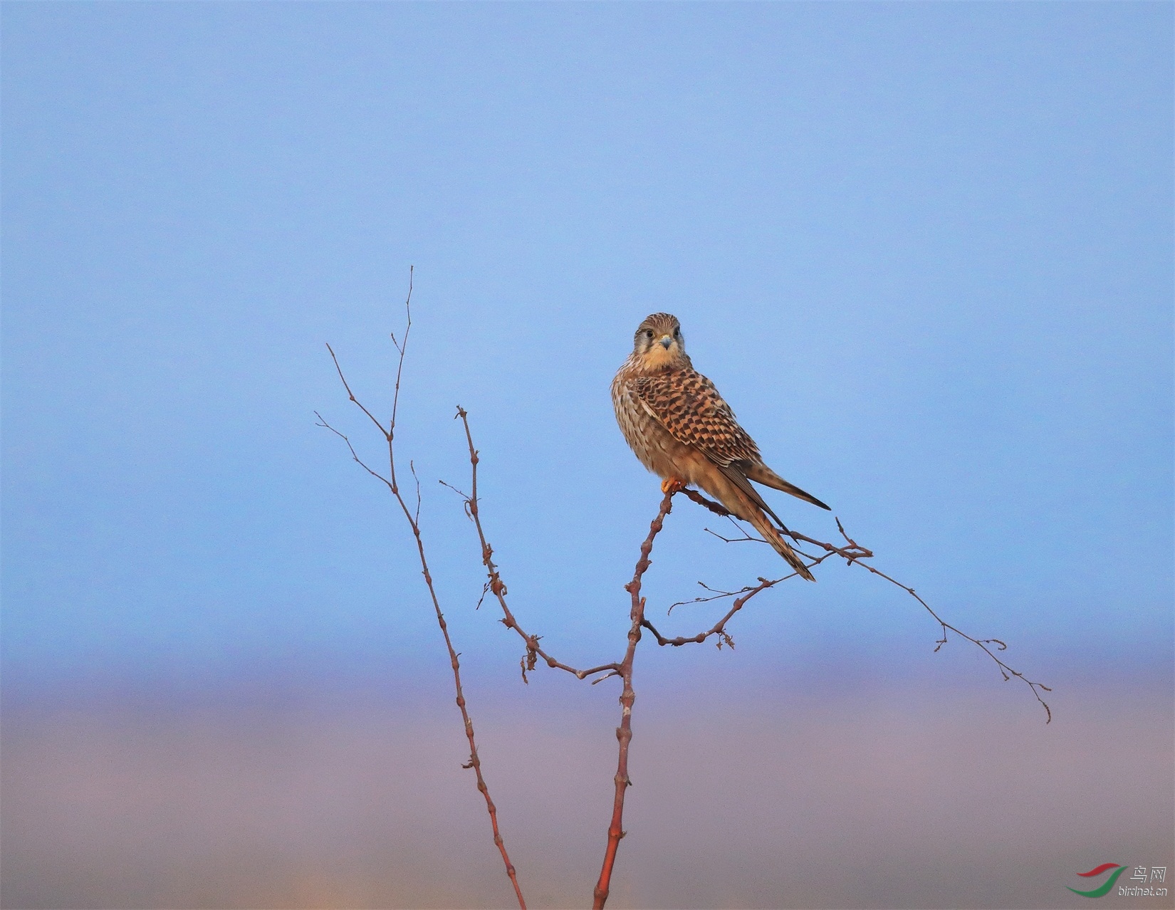 4 - ����.JPG