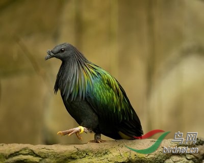 1 (163).jpg