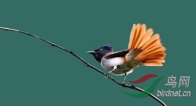 1 (114).jpg