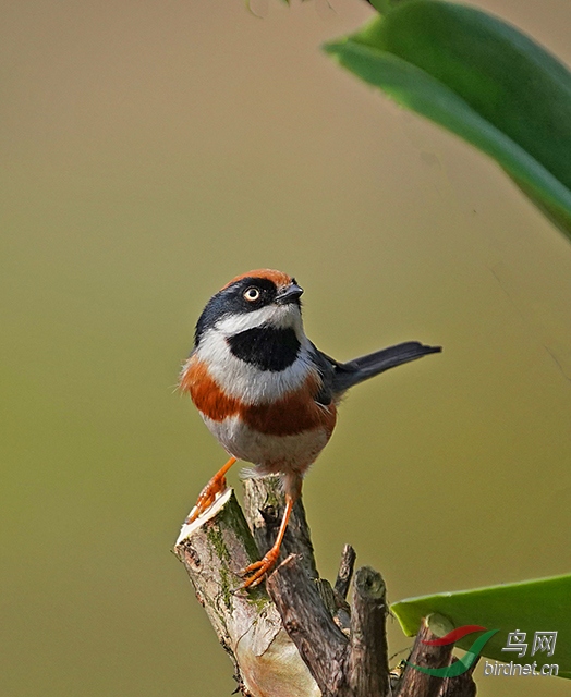 DSC04268---.jpg