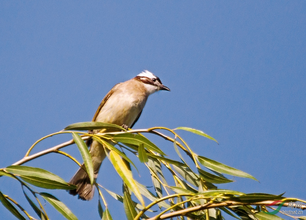 IMG_7698 - ����_����_����.jpg