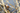 _J4A2680-01 - ���� - ����.jpg