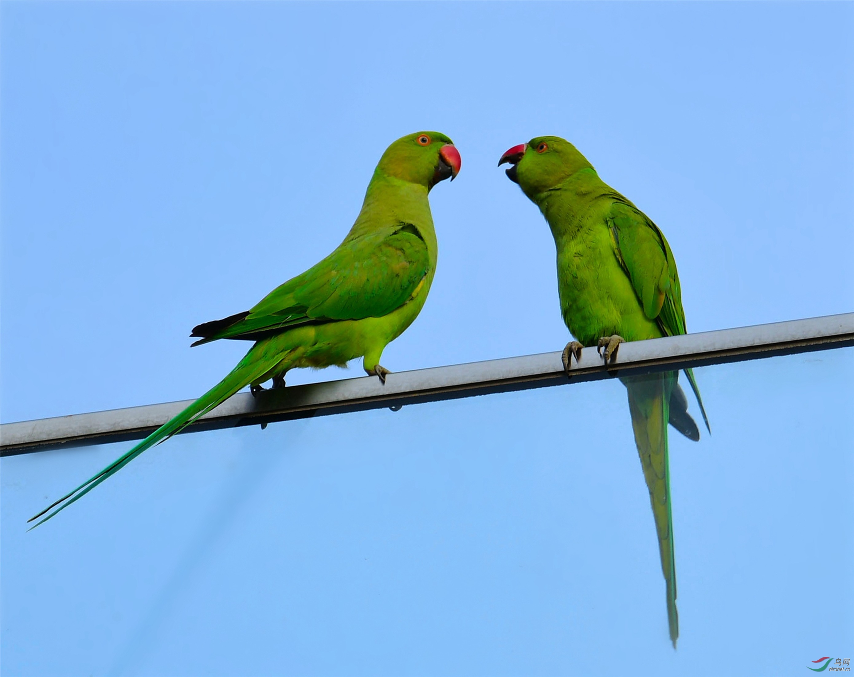 DSC_4200.JPG