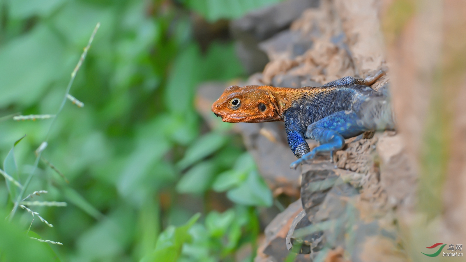 DSC_0864_����.jpg
