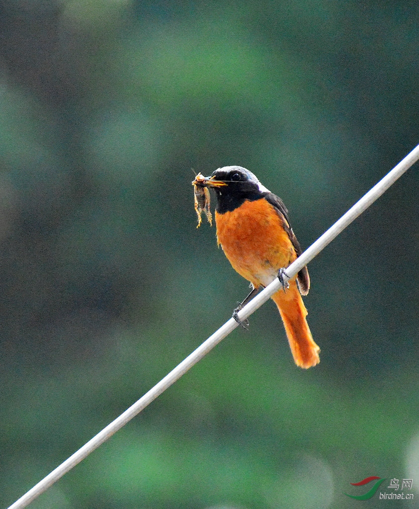 DSC_9052.JPG