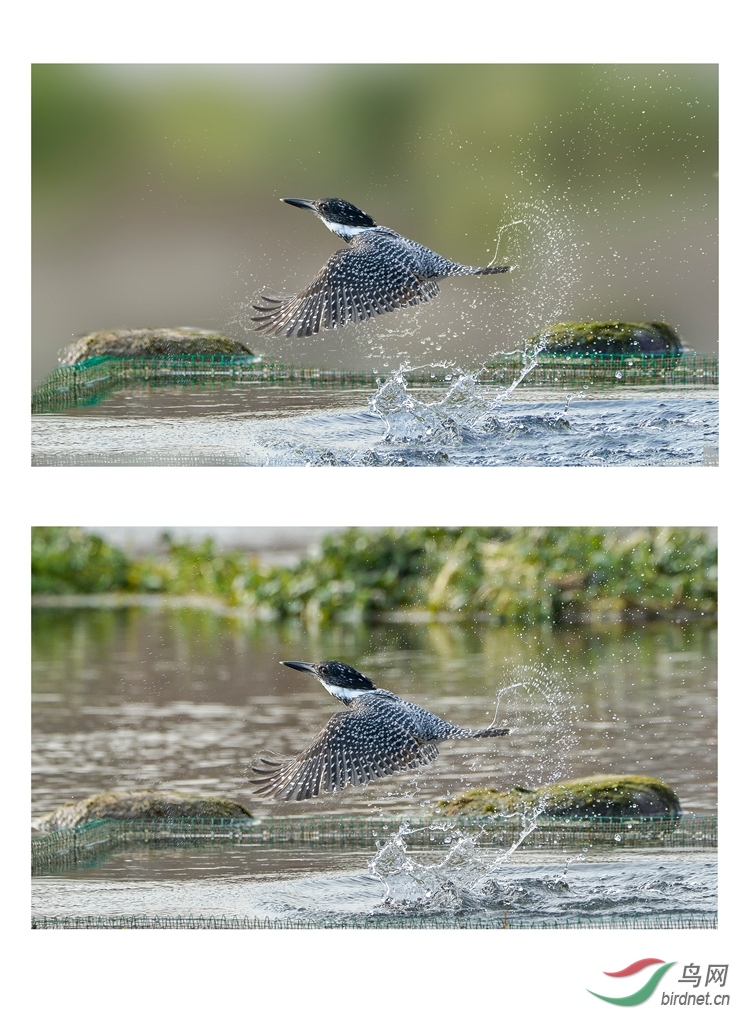 ���㹷  �Ա�3.jpg