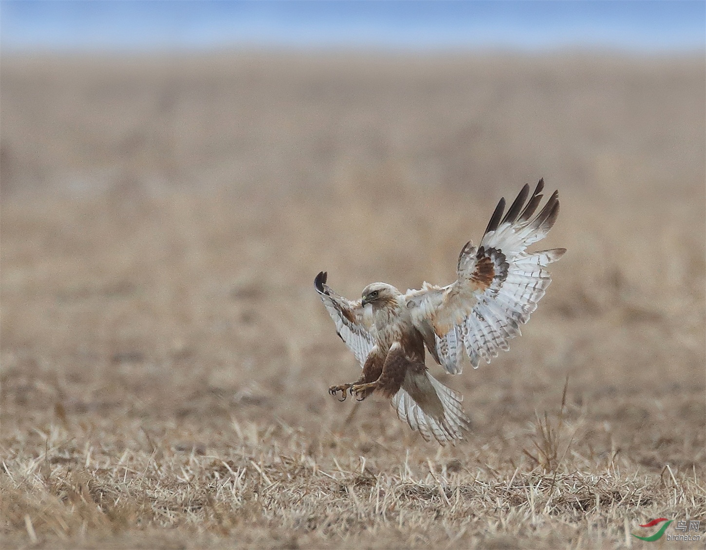 111 - ����.JPG