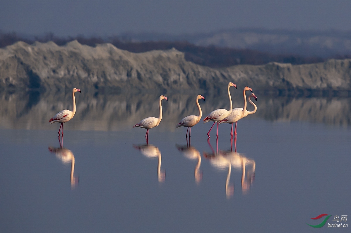 ������ɽ���˳��κ���