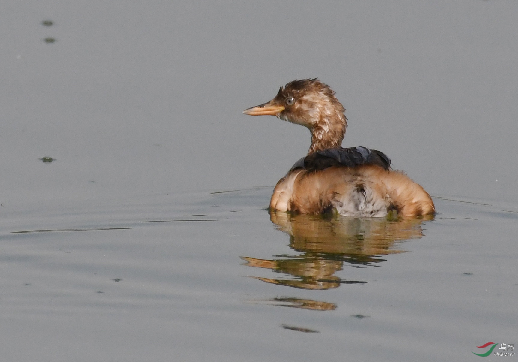 ������Ӱ 927����.jpg