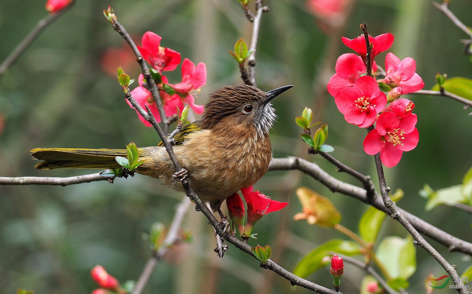 P2102120_����_DxO (����).jpg