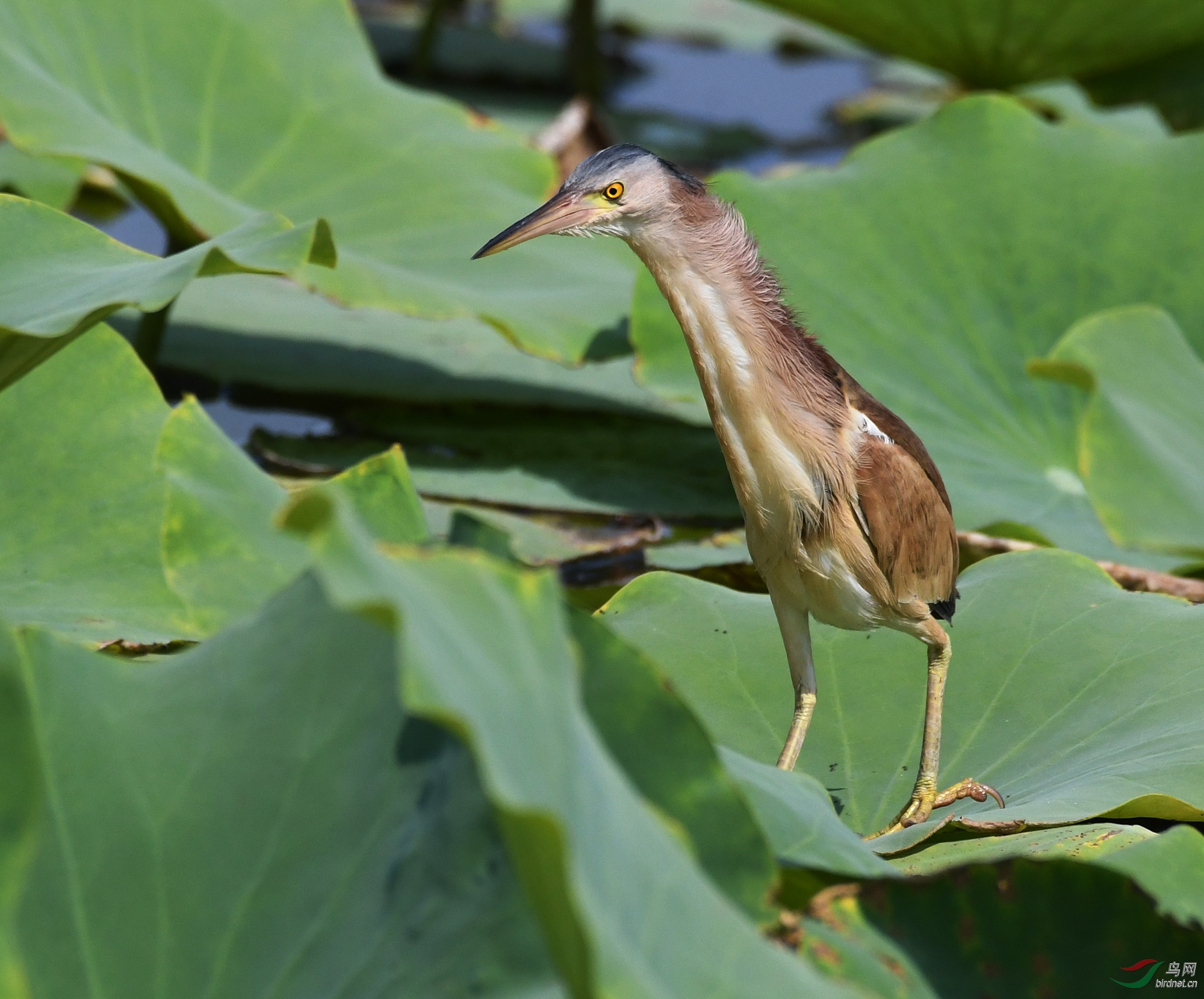 ������Ӱ 1311����.jpg