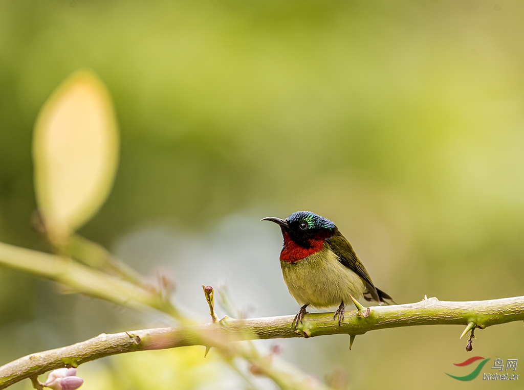 DSC_6798.jpg