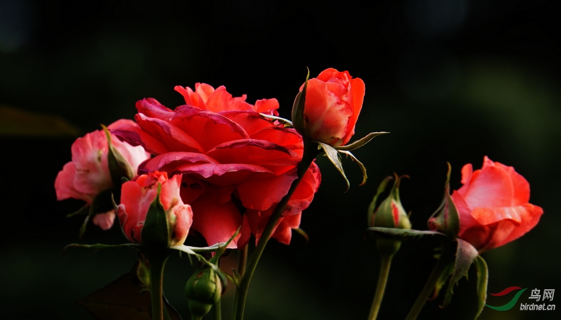 DSC08689.JPG