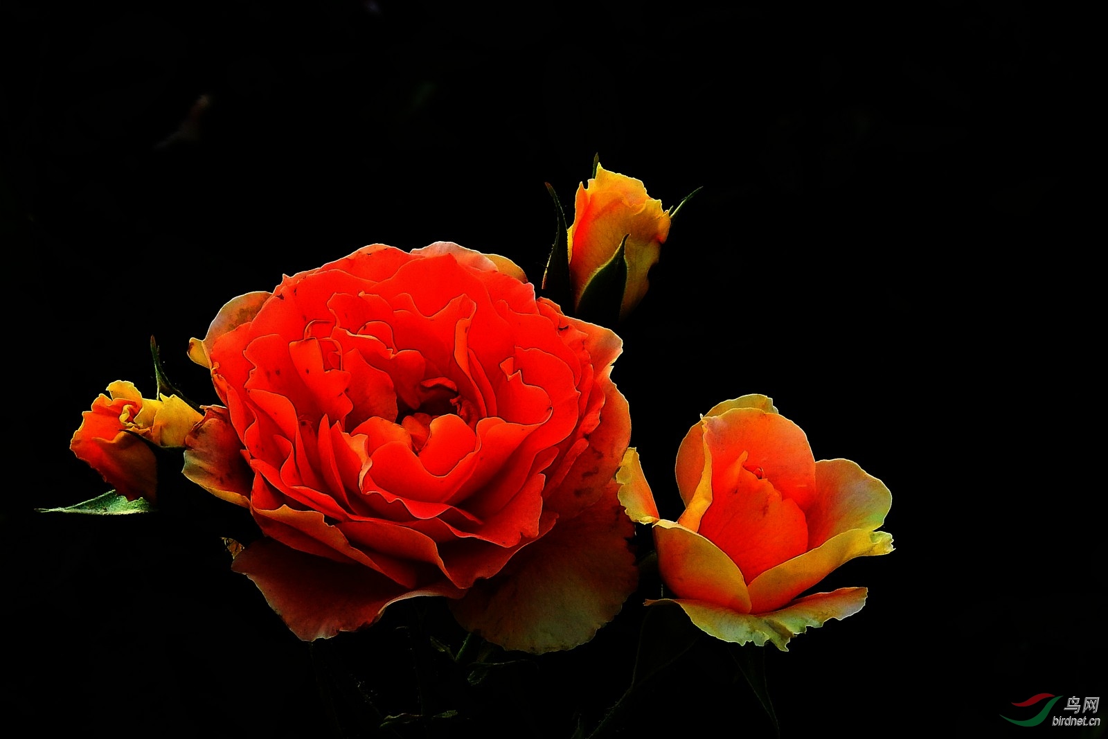DSCN1629.JPG