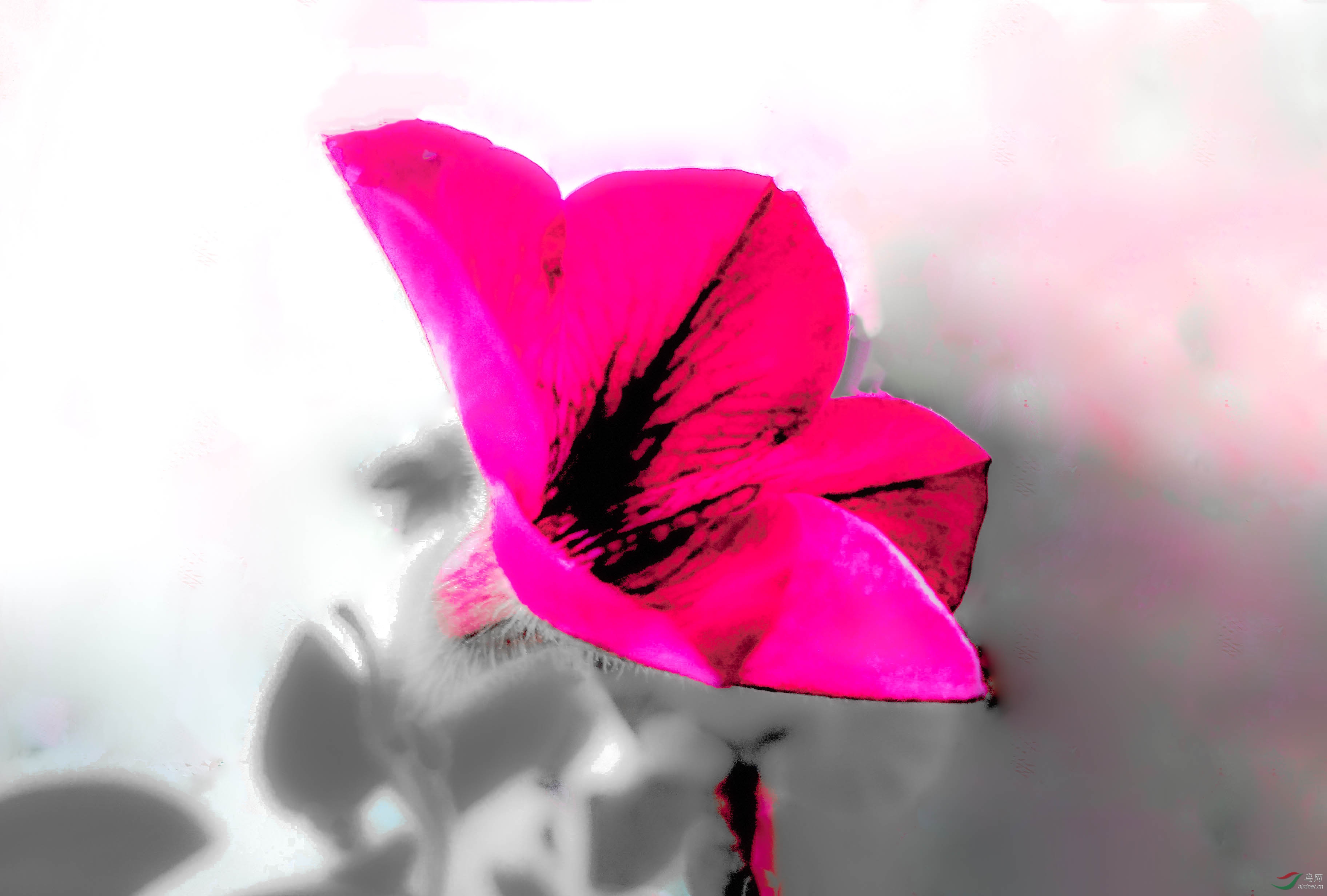 һ��С��