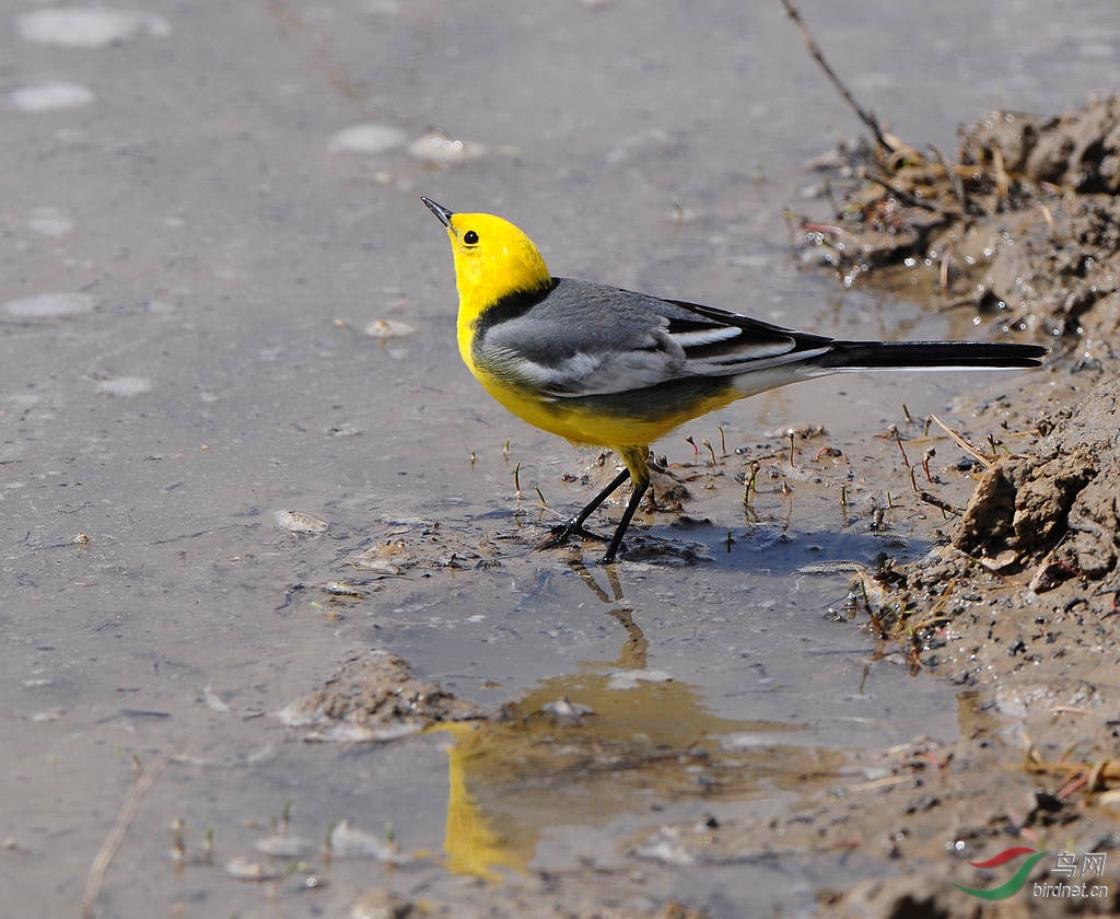 DSC_0848  7.jpg