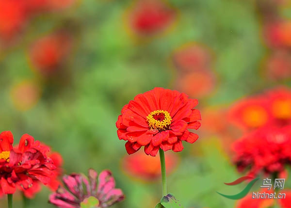 DSC_1061_���� - ����.jpg