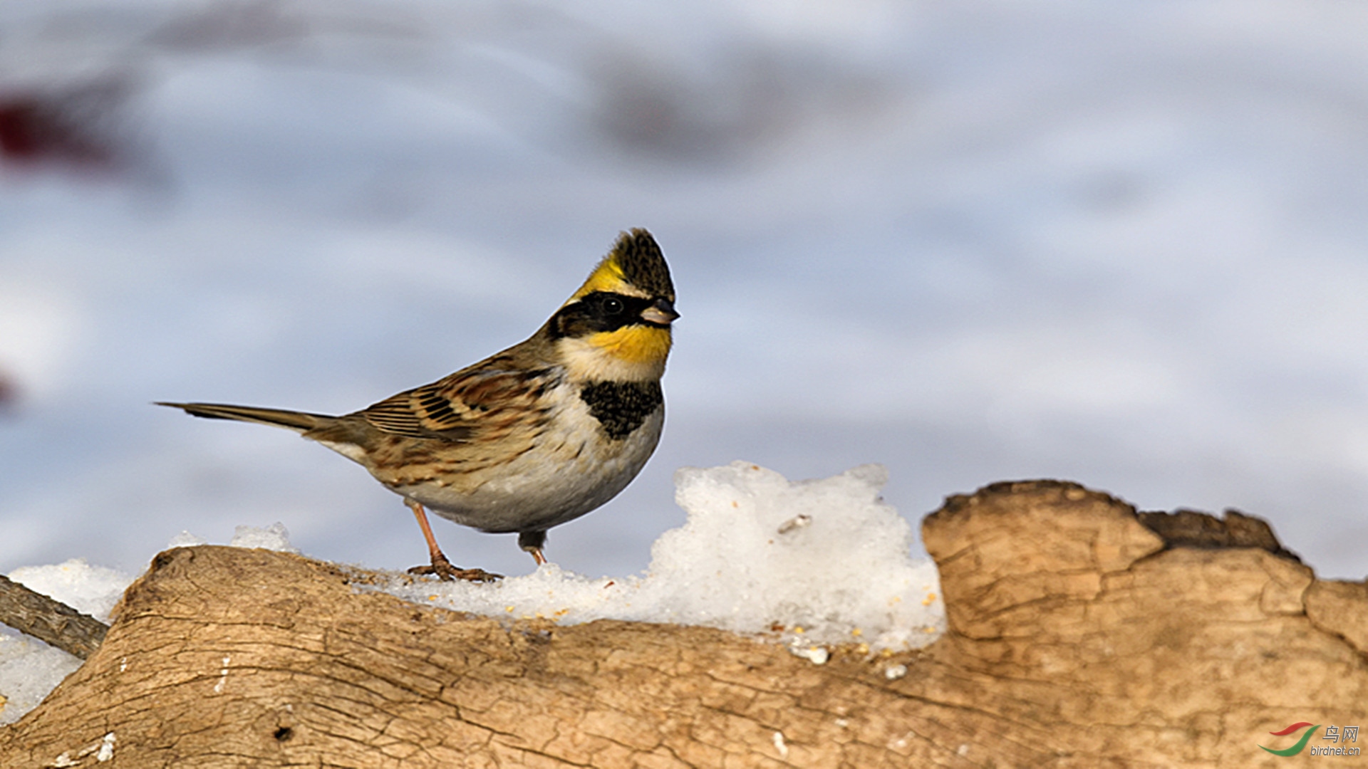 _DSC7700_00001_����.jpg