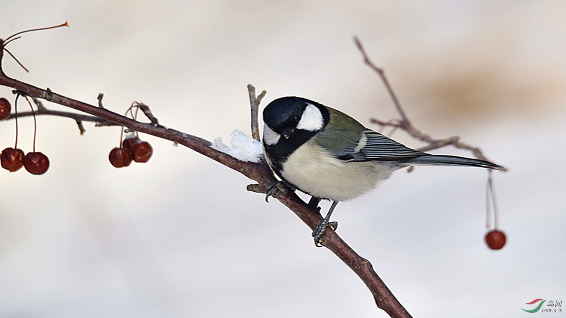 _DSC7561_00001_����.jpg