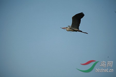 IMG_0091.jpg