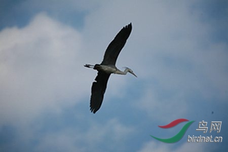IMG_0069.jpg