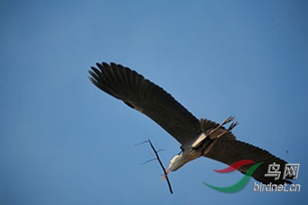 IMG_0060.jpg