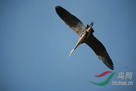 IMG_0044.jpg