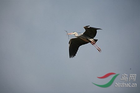 IMG_0034.jpg