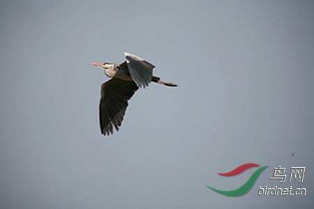 IMG_0020.jpg