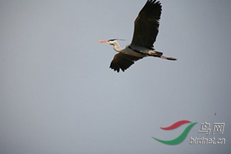 IMG_0021.jpg