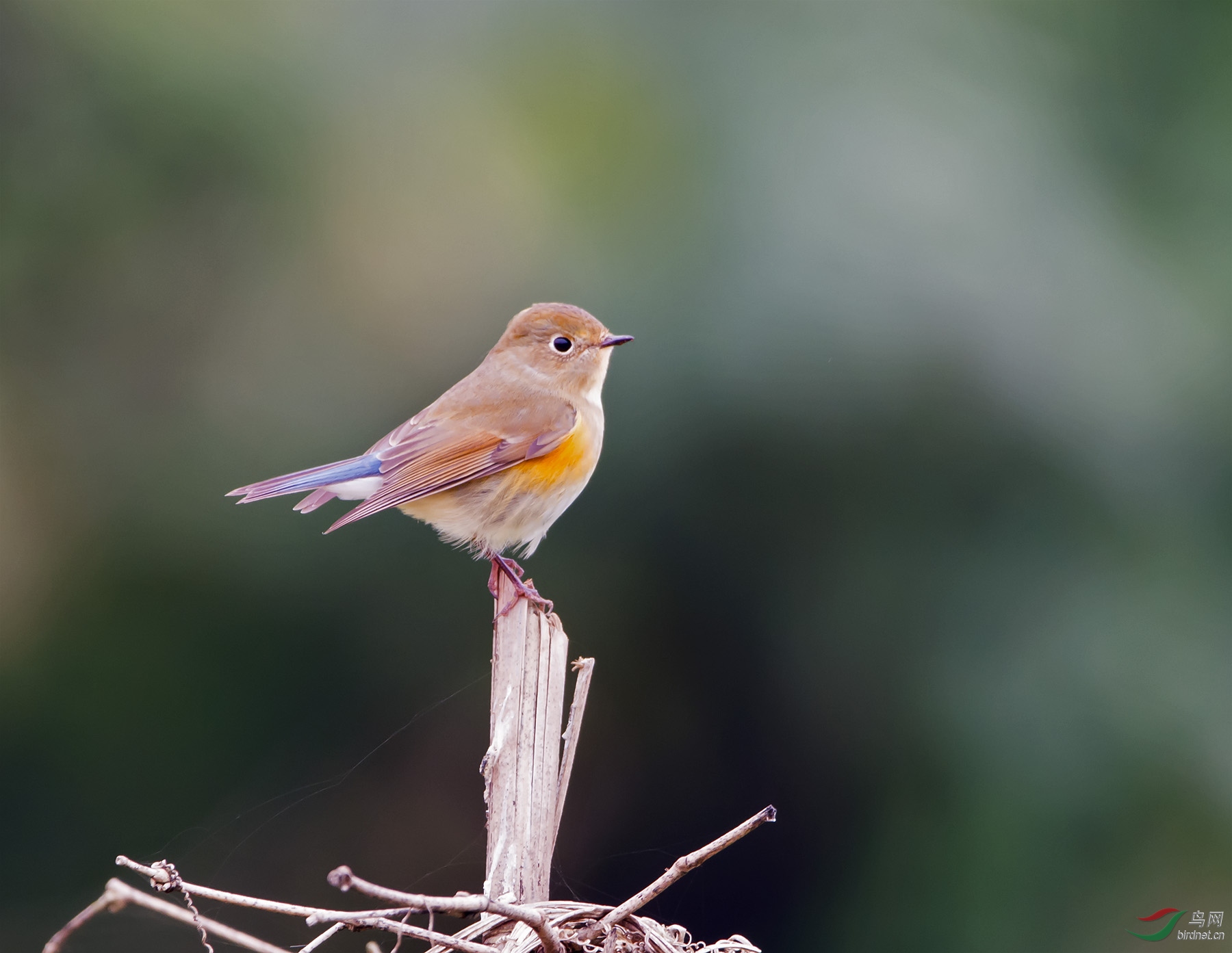DSC_7191.jpg