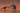 11 (122).JPG