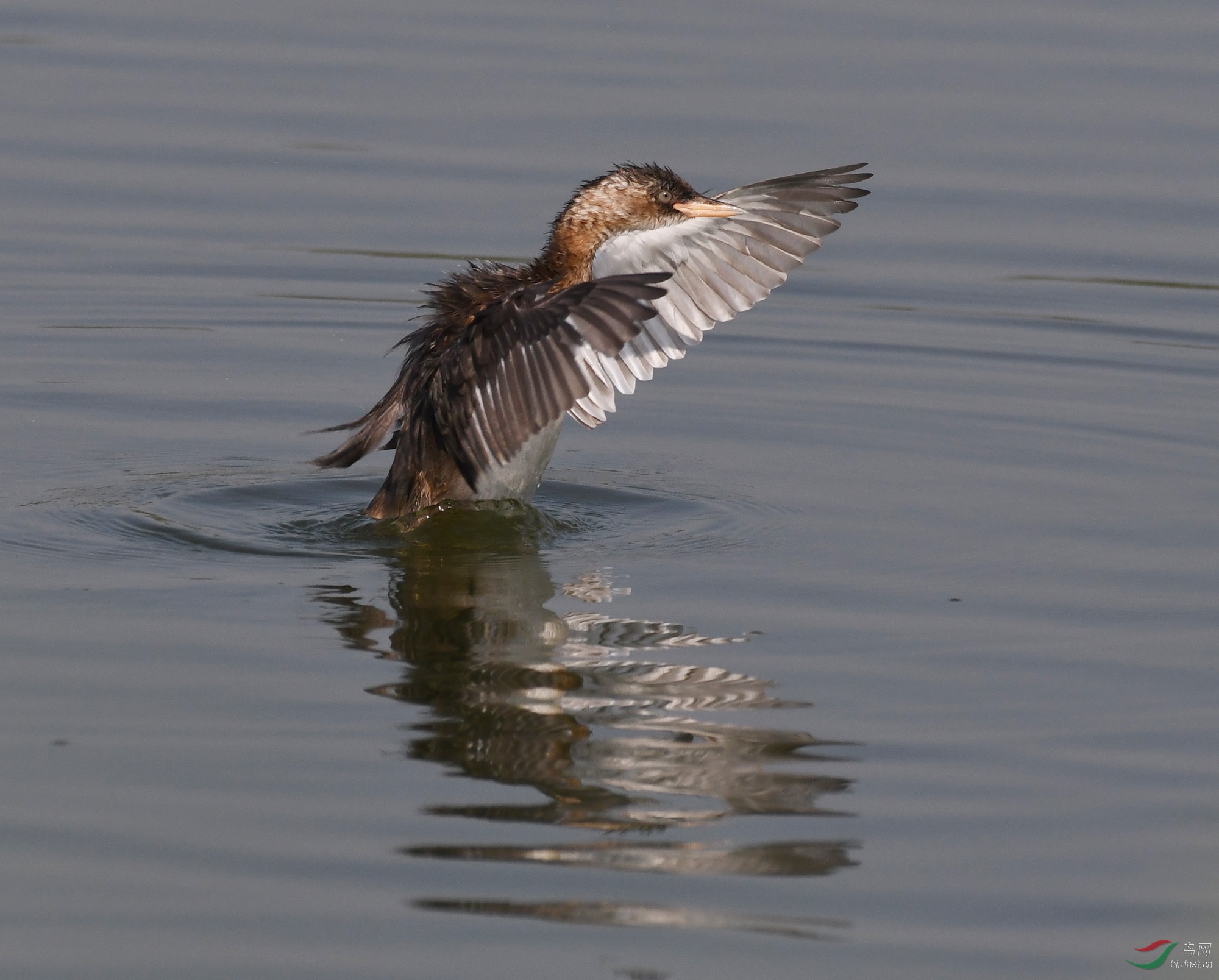 ������Ӱ 157����.jpg