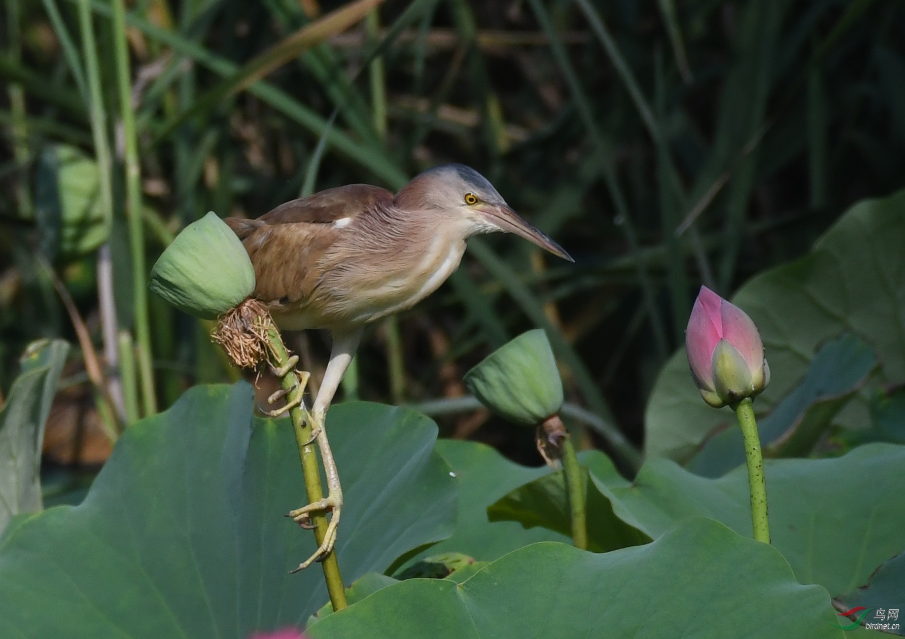 ������Ӱ 355����.jpg