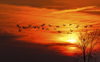 1 (74).JPG