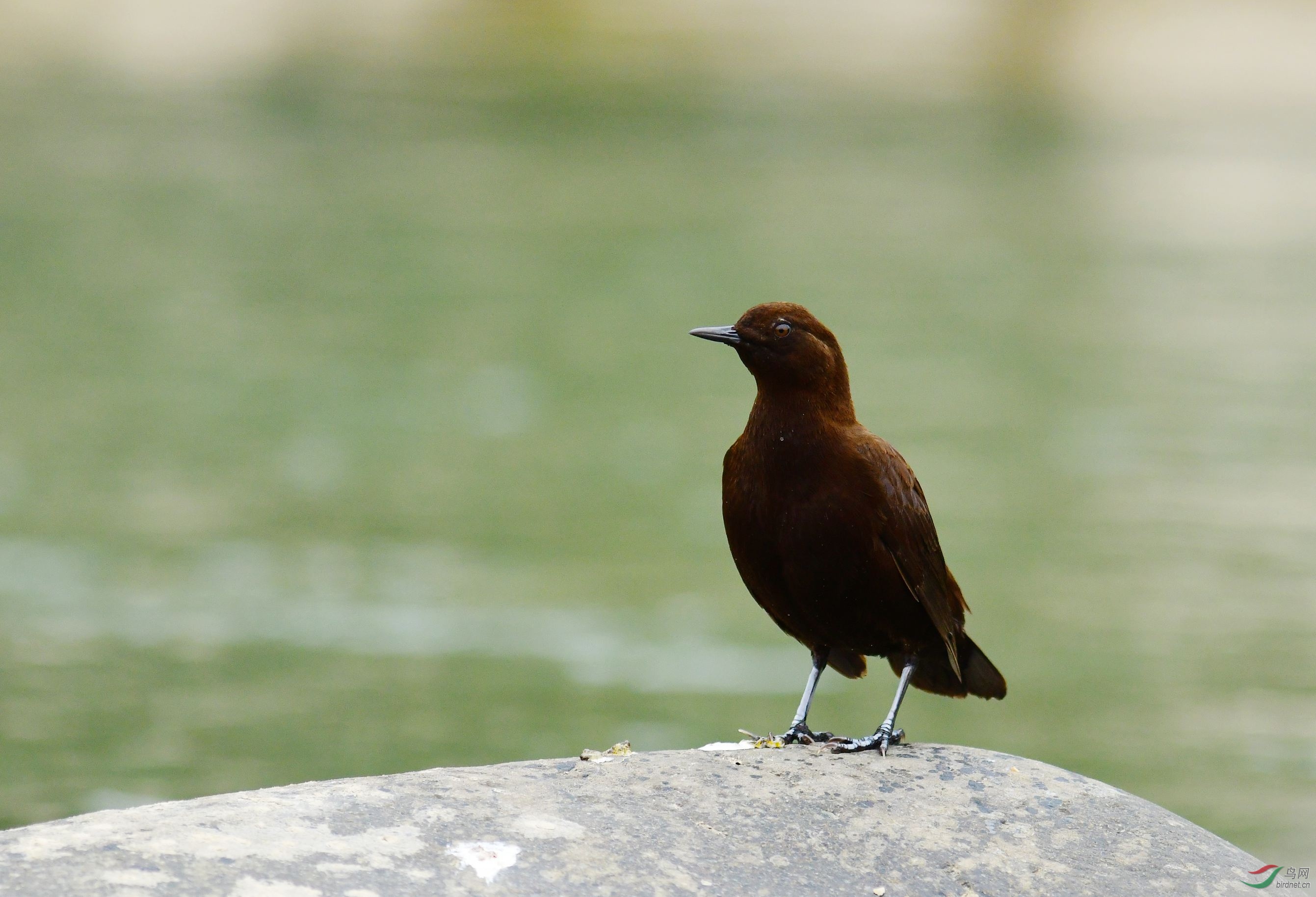 DSC_2883.JPG