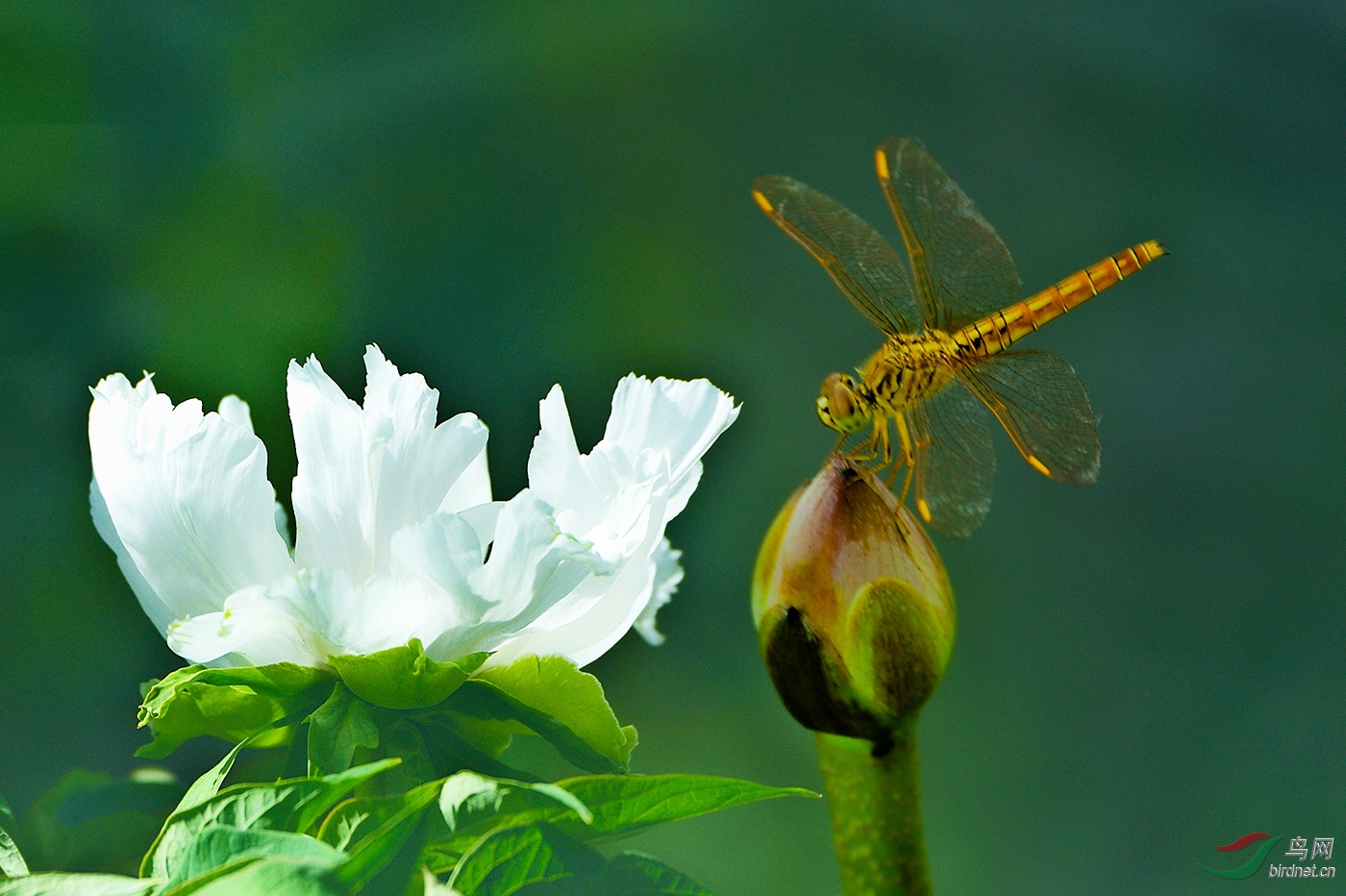 ����01.jpg