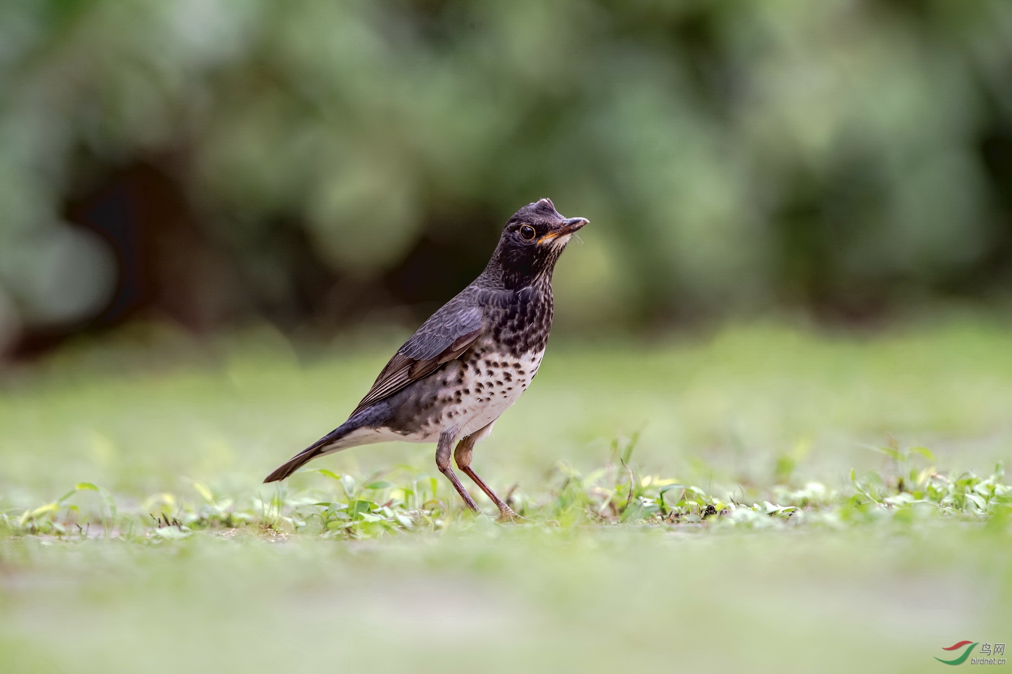 非常时期,还是一个人好!